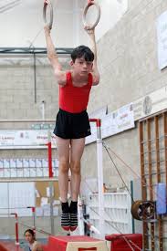 Image result for Arabian School Of Gymnastics, Milton Keynes