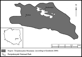 Attēlu rezultāti vaicājumam “Homomallium incurvatum sporophyte”