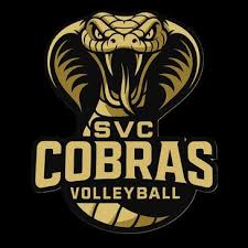 Image result for Cheltenham Cobras Volleyball Club