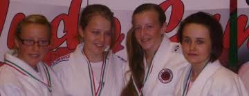 Image result for Beverley Haltemprice Judo Club