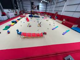 Image result for Colchester School Of Gymnastics