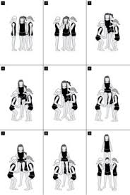 Image result for Cheervision Yorkshire