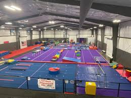 Image result for Epping Forest Elite Gymnastics Club