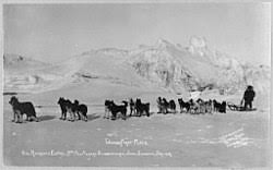 Image result for Team Ice Fire British Sled Dog Racing Team