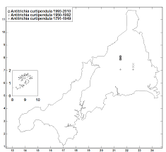 Attēlu rezultāti vaicājumam “Antitrichia curtipendula macro”