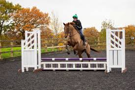Image result for Weybridge Equestrian Centre