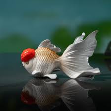 Image result for 金魚