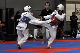 Image result for Synergy Tae Kwon Do