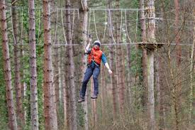 Image result for Go Ape! Moors Valley