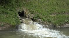 Image result for Bideford and District Angling Club