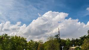 Image result for nikon tehron