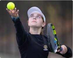 Image result for Hanney Tennis Club