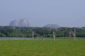 Image result for Яла заповедник