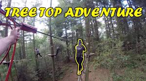 Image result for Go Ape! Dalby