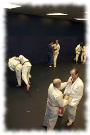 Image result for Southampton University Shorinji Kempo Club
