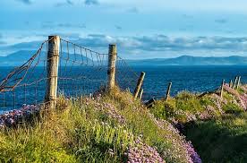 Image result for Mullaghmore