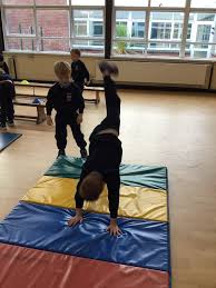 Image result for Arabian School Of Gymnastics