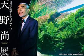 Znalezione obrazy dla zapytania takashi amano%