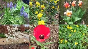 Image result for Manchester & High Peak Ramblers