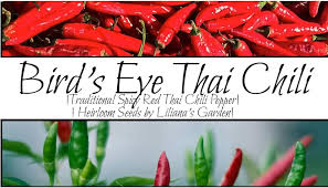 Afbeeldingsresultaat voor thai bird pepper hot pepper