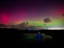 Afbeeldingsresultaat voor northern lights tomato