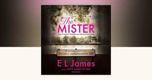 Image result for mister