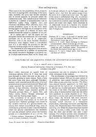 Attēlu rezultāti vaicājumam “Didymium difforme spores”