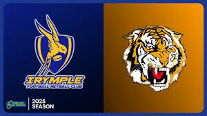 Image result for Ecs Predators Netball Club