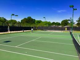 Image result for Tara Sports Badminton Club