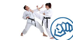 Image result for Chikara Dojo Of Kyokushin Karate