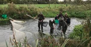 Image result for City Of London Piscatorial Society