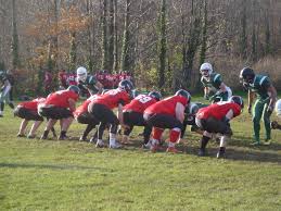Image result for Cardiff Cobras