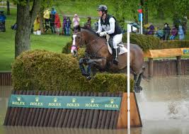 Image result for Thoroughbreds Netball Clubs