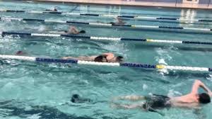 Image result for Worcester Swimming Club