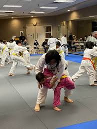 Image result for Sneyd Judo Club