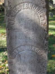 Susan Jagger Brodhead (1833 - 1870) - Find A Grave Memorial - 79742235_132063714956