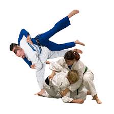 Image result for Melbourne Judo Club