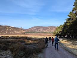 Image result for Karabiner Mountaineering Club