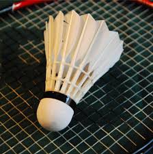 Image result for St Leonards Badminton Club