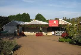 Image result for Waresley Cricket Club