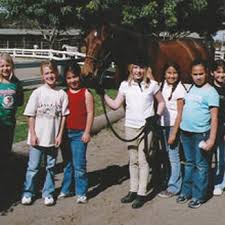 Image result for Shey Copse Riding Centre