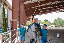 Image result for Shey Copse Riding Centre