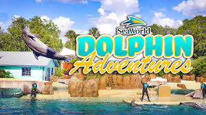 Image result for Adventure Dolphin