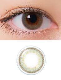 「ネオサイトワンデーシエル」の画像検索結果