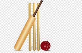 Image result for Bat Sports Cricket Club