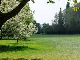 Image result for Girton Golf Club (Cambridge) Ltd