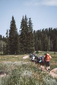 Image result for Wey Adventure Group