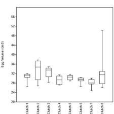 Attēlu rezultāti vaicājumam “Fulica atra eggs”