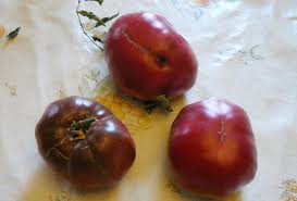 Afbeeldingsresultaat voor black sea man tomato