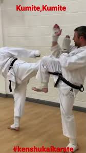 Image result for Kenshukai Karate